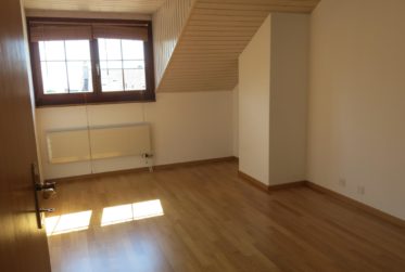GRAND DUPLEX AU COEUR DE GIVRINS