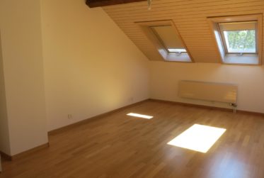 GRAND DUPLEX AU COEUR DE GIVRINS