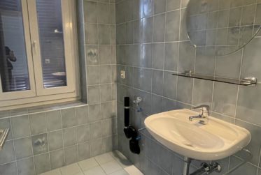 APPARTEMENT 4.5 PIECES AVEC GRAND BALCON