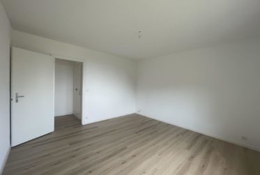 CHARMANT 3,5 PIECES AVEC ATELIER, GRAND JARDIN ET VUE SUR LE LAC