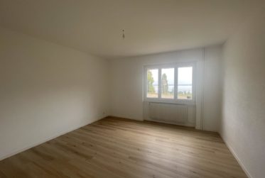 CHARMANT 3,5 PIECES AVEC ATELIER, GRAND JARDIN ET VUE SUR LE LAC