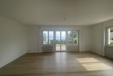 CHARMANT 3,5 PIECES AVEC ATELIER, GRAND JARDIN ET VUE SUR LE LAC