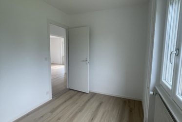 CHARMANT 3,5 PIECES AVEC ATELIER, GRAND JARDIN ET VUE SUR LE LAC