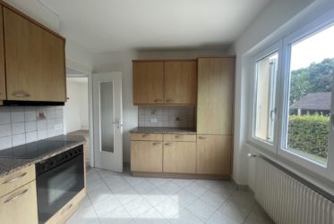 CHARMANT 3,5 PIECES AVEC ATELIER, GRAND JARDIN ET VUE SUR LE LAC