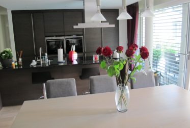 BEL APPARTEMENT (REZ DE JARDIN) - ROLLE