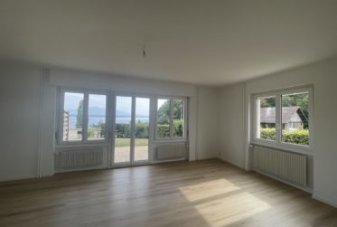 CHARMANT 3,5 PIECES AVEC ATELIER, GRAND JARDIN ET VUE SUR LE LAC