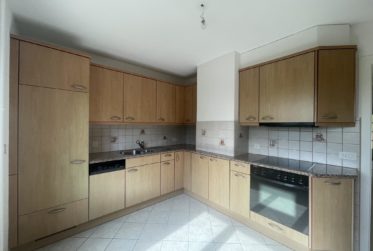 CHARMANT 3,5 PIECES AVEC ATELIER, GRAND JARDIN ET VUE SUR LE LAC