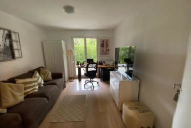 BEL APPARTEMENT (REZ DE JARDIN) - ROLLE