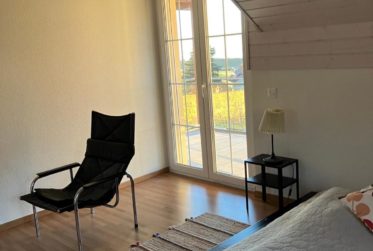 VILLA 6.5 PIECES - DANS LES VIGNES - VUE LAC - GILLY