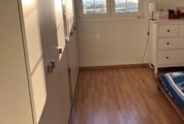 VILLA 6.5 PIECES - DANS LES VIGNES - VUE LAC - GILLY