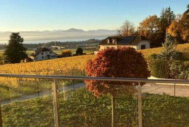 VILLA 6.5 PIECES - DANS LES VIGNES - VUE LAC - GILLY