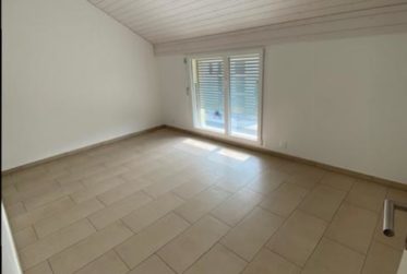 APPARTEMENT 4.5 PIECES (COMBLES)