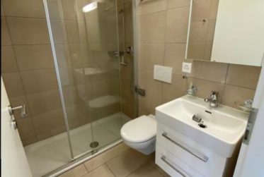 APPARTEMENT 4.5 PIECES (COMBLES)