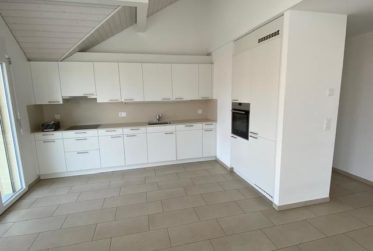 APPARTEMENT 4.5 PIECES (COMBLES)