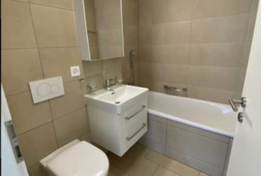 APPARTEMENT 4.5 PIECES (COMBLES)