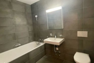 Bel appartement moderne de 2,5 pièces avec vue sur le lac