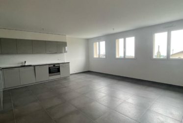 Bel appartement moderne de 2,5 pièces avec vue sur le lac