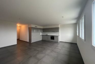 Bel appartement moderne de 2,5 pièces avec vue sur le lac