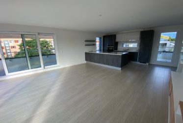 APPARTEMENT - GRAND PENTHOUSE