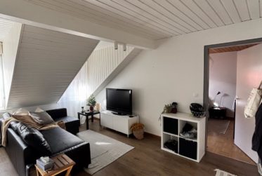 2.5 PIECES MEUBLE AU COEUR DE ROLLE