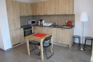 APPARTEMENT 1.5 PIECES (37.5 M2 + GRANDE VERANDA ISOLEE DE 17 M2)