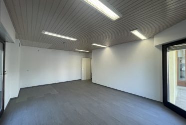À LOUER – BUREAU / LOCAL PROFESSIONNEL À BOGIS-BOSSEY