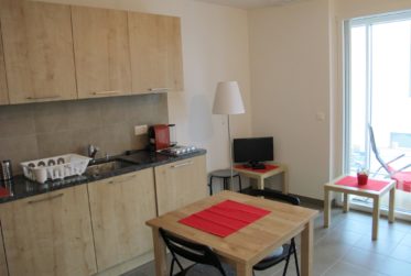 APPARTEMENT 1.5 PIECES (37.5 M2 + GRANDE VERANDA ISOLEE DE 17 M2)
