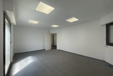 À LOUER – BUREAU / LOCAL PROFESSIONNEL À BOGIS-BOSSEY