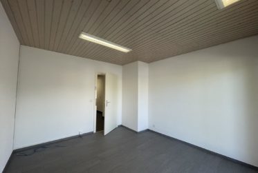 À LOUER – BUREAU / LOCAL PROFESSIONNEL À BOGIS-BOSSEY
