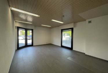 À LOUER – BUREAU / LOCAL PROFESSIONNEL À BOGIS-BOSSEY