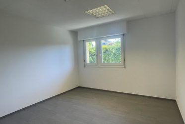 À LOUER – BUREAU / LOCAL PROFESSIONNEL À BOGIS-BOSSEY