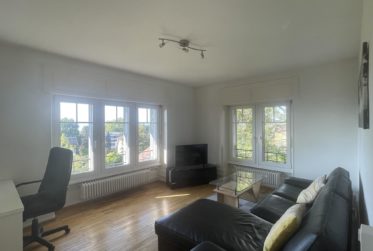 GRAND 2.5 PIECES MEUBLE AVEC VUE SUR LAC