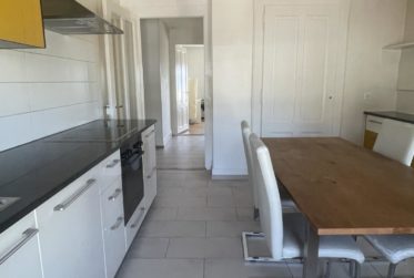 GRAND 2.5 PIECES MEUBLE AVEC VUE SUR LAC