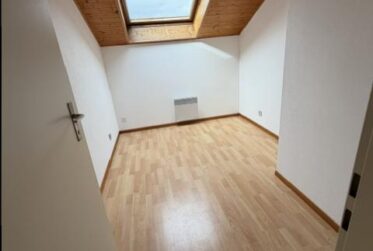 APPARTEMENT DUPLEX - 5 PIECES (étage et combles) - RENOVE !
