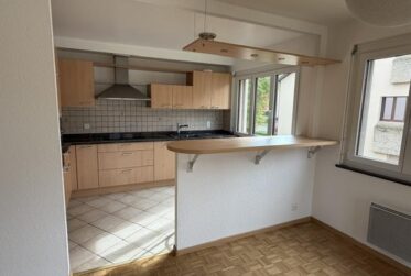 APPARTEMENT DUPLEX - 5 PIECES (étage et combles) - RENOVE !