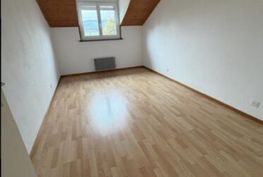 APPARTEMENT DUPLEX - 5 PIECES (étage et combles) - RENOVE !