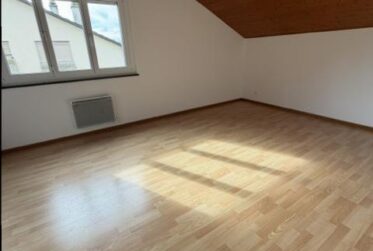 APPARTEMENT DUPLEX - 5 PIECES (étage et combles) - RENOVE !